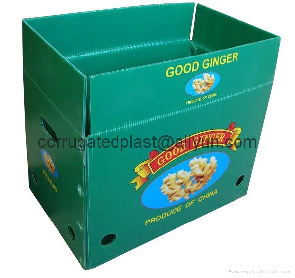 Corrugated Plastic Fruits Tray / Vegetables Box As customerized TFL