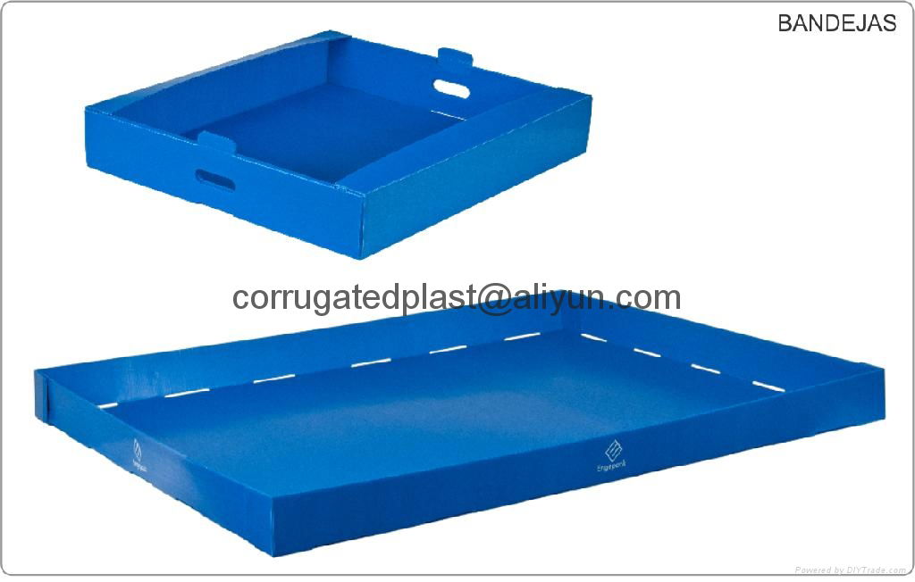 PP Corrugated Plastic Tray 5