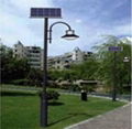 Solar Garden Lights 1