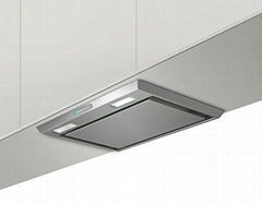 Built-in&under cabinet range hood