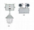 防爆双头应急灯 1