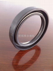 oil seal