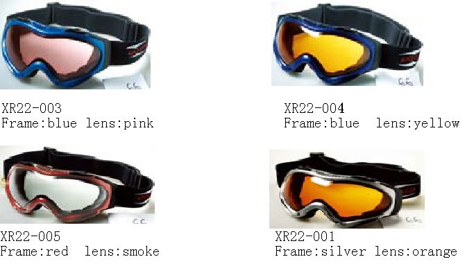 SKI GOGGLE 2