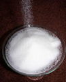 Refined White Cane Sugar 2