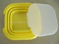 silicone lunch box（foldable)