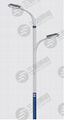 supply led street lamps 3