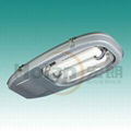 Induction Lamp for Street Light (HLG232) 1