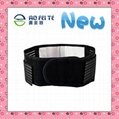 magnetic therapy waist wraps back