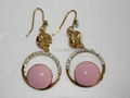 Fashion Earring Jewelry 2