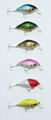 Fishing Lure