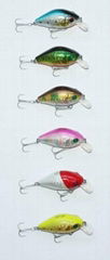 Fishing Lure