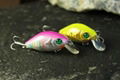 Fishing Lure 2