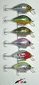 Fishing Lure& Hard Lure& Plastic Lure