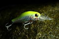 Fishing Lure& Hard Lure& Plastic Lure 3