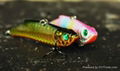 Hard Plastic fishing lure 2