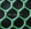 安平县各种规格聚乙烯塑料平网 3