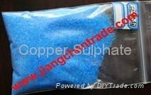 Copper Sulphate