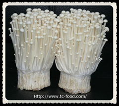 enoki