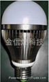 10WLED Bulb 1