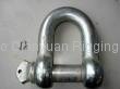 Euro. Type Large Dee Shackle 5