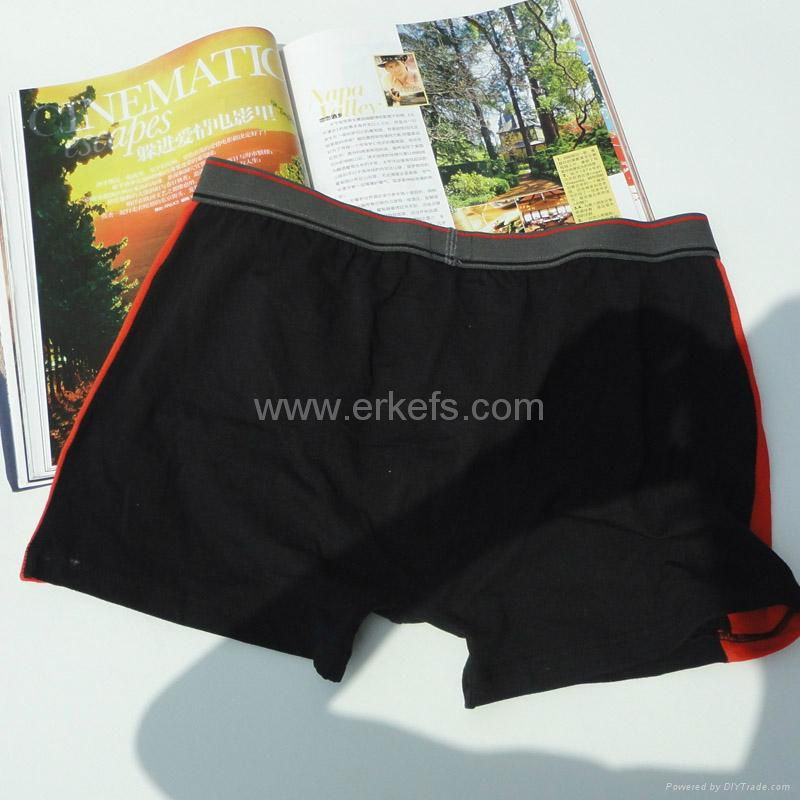 Mens Briefs 4