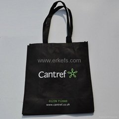 Promotional nonwoven  Bag
