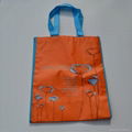 Laminated Nonwoven Bag 1