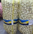 chinese fresh garlic crop 2012 2