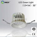 LED Down Light-Imigy 1