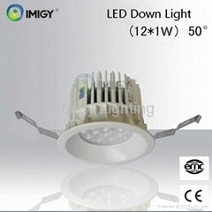 LED Down Light-Imigy