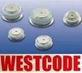 英國西碼WESTCODE 5