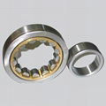 Cylindrical Roller Bearing