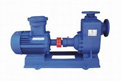 Self-suction Pumps