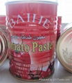 export canned tomato paste