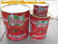 canned tomato paste supply for Africa 2