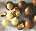 macadamia nuts 2