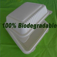 100% biodegradable PLA Food Container