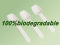 100% biodegradable PLA frozen yogurt spoon 3