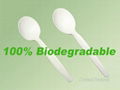 100% biodegradable PLA frozen yogurt spoon 4