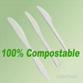 100% biodegradable PLA frozen yogurt spoon 5