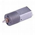 Spur DC Gear Motor