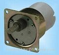 DC Gear Motor