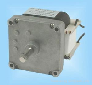 DC Gear Motor 5