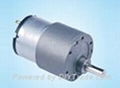 Spur DC Gear Motor