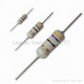 Fusible resistors 1