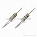 Wire-Wound Fusible Resistors--RFW Series