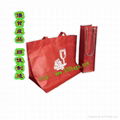 Non woven wine bag 3