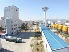 Qinhuangdao Scinan Specialty Glass Co., Ltd