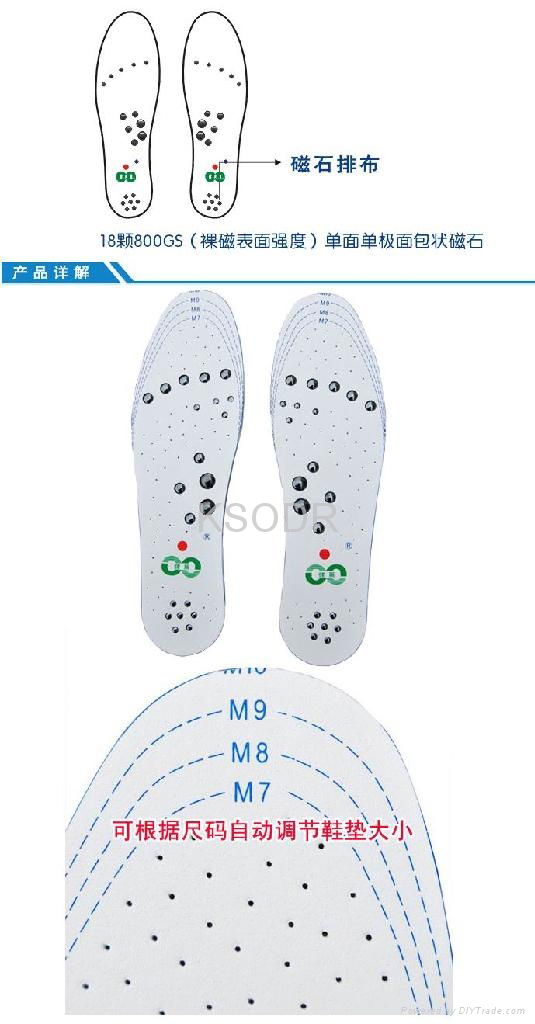 Magnetic Insoles 2