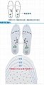 Magnetic Insoles 2